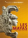 Visite guidée : exposition maya, révélation d'un temps sans fin | Par Camille De Jessey - 