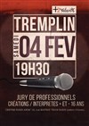 Tremplin Plus2talents - 