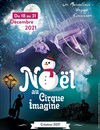 Noël au Cirque Imagine | Lyon - 