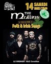 Concert Celtique : The Mullins - 