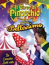 Il Circo di Pinocchio | Limoges - 