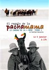 Le cadeau de la Pachamama - 