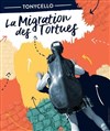 Tonycello, La Migration des tortues - 