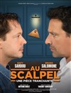 Au Scalpel | avec Davy Sardou et Bruno Salomone - 