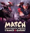 Match d'improvisation théâtrale Nantes-LNI Quebec - 
