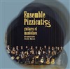 Pizzicatis : Ensemble de mandolines et guitares - 