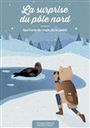 La surprise du Pôle Nord - 