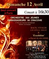 Orchestre à Cordes de Cracovie | Date unique à Paris - 