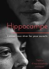 Hippocampe - 
