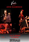 Arte Flamenco - 