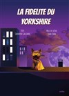 La fidélité du Yorkshire - 