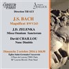 Bach & Zelenka & Chaillou - 