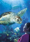 Aquarium Sealife Paris Val d'Europe - 