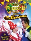 Il teatro di Pinocchio | Villabé - 