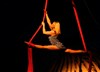 Cabaret Cirque Russe - 