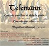 Concert Telemann - 