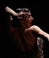 Esencia Flamenca - 