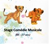 Stage comédie musicale Roi Lion - 