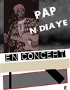 Pap N'Diaye en concert - 