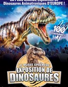 Le Musée Éphémère® : Exposition de dinosaures à Colmar