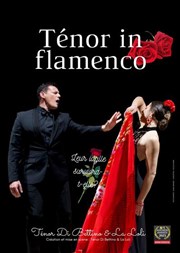 Ténor in flamenco Chteau de Fargues Affiche