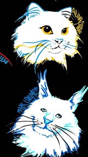 Les chats (ou ceux qui frappent et ceux qui sont frappés) Chaillot - Thtre National de la Danse / Salle Gmier Affiche
