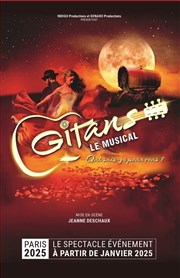 Gitans, le musical Le Thtre Libre Affiche