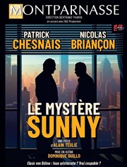Le mystère Sunny | avec Patrick Chesnais Théâtre Montparnasse - Grande Salle Affiche