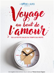 Voyage au bout de l'amour Salle Pierre Lamy Affiche