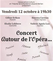 Concert lyrique Espace Lopold Bellan Affiche