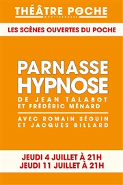 Parnasse Hypnose Le Thtre de Poche Montparnasse - Le Petit Poche Affiche