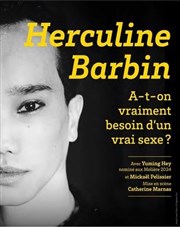 Herculine Barbin, archéologie d'une révolution Au Palace - Salle 1 Affiche