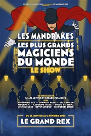Les Mandrakes, le show Le Grand Rex Affiche