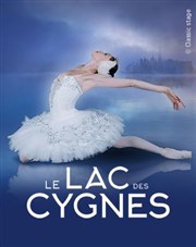 Le Lac des Cygnes Thatre du Blanc mesnil Affiche