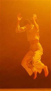 Aina Alegre, CCN de Grenoble & Studio fictif : R-A-U-X-A + Ola Maciejewska et Loie Fuller : Research | Billet couplé Chaillot - Thtre National de la Danse / Salle Gmier Affiche