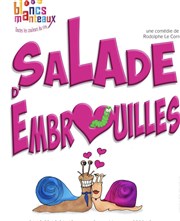Salade d'embrouilles We welcome Affiche